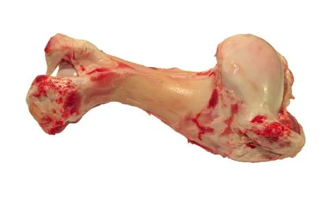 Raw beef bones Stock Photos