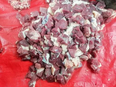 Raw Beef Chunks on Red Paper at Local Butcher Stall in Bangladesh~2 Stock Photos