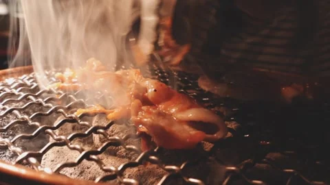 Raw beef slice for barbecue or Japanese style yakiniku Stock Footage 343614090