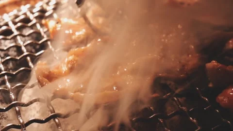 Raw beef slice for barbecue or Japanese style yakiniku Stock Footage 343614124