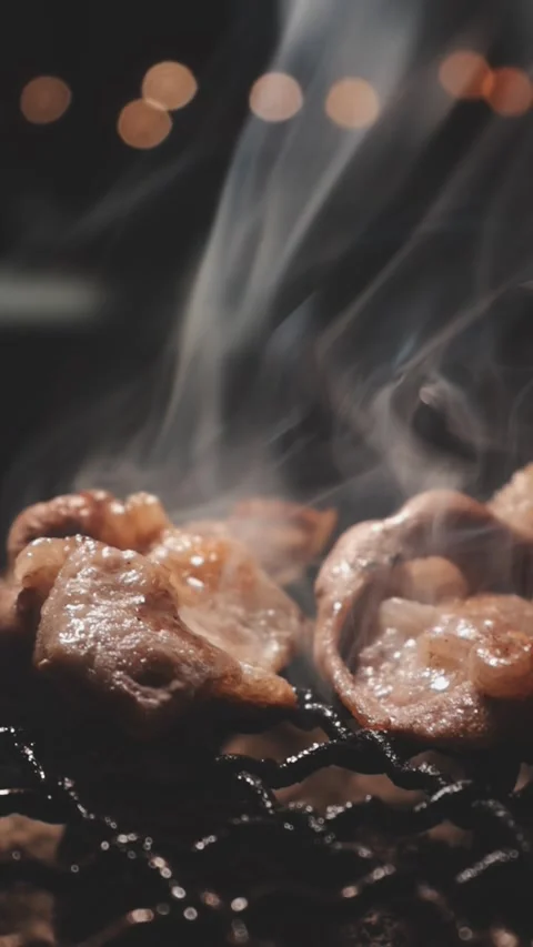 Raw beef slice for barbecue or Japanese style yakiniku Stock Footage 343614564