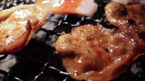 Raw beef slice for barbecue or Japanese style yakiniku Stock Footage 343615083