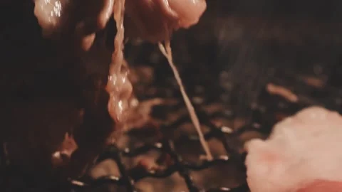 Raw beef slice for barbecue or Japanese style yakiniku Stock Footage 343615198