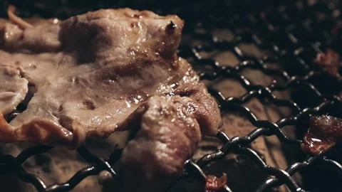 Raw beef slice for barbecue or Japanese style yakiniku Stock Footage 343615381