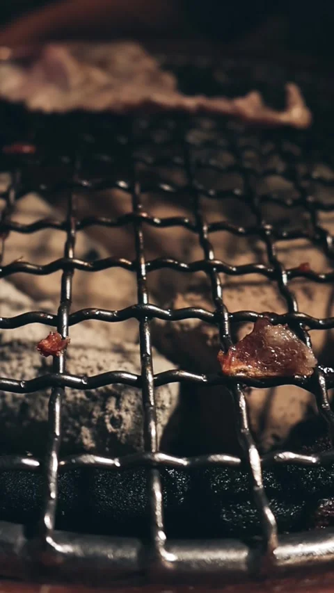 Raw beef slice for barbecue or Japanese style yakiniku Stock Footage 343615386