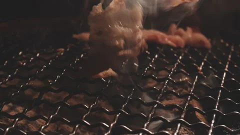Raw beef slice for barbecue or Japanese style yakiniku Stock Footage 343615668