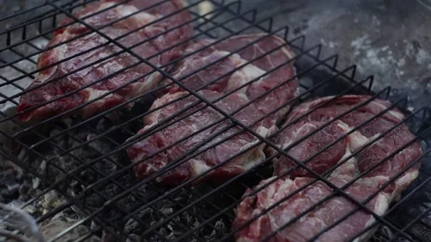 Raw Beef Steak on Campfire (Closeup) Stock Footage 303517745
