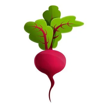 Raw beet icon, cartoon style Stock Illustration