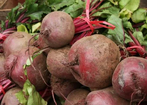Raw beet Stock Photos