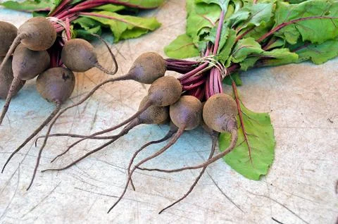 Raw beets bunch Stock Photos