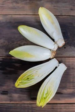 Raw belgian endive bitter vegetable Stock Photos