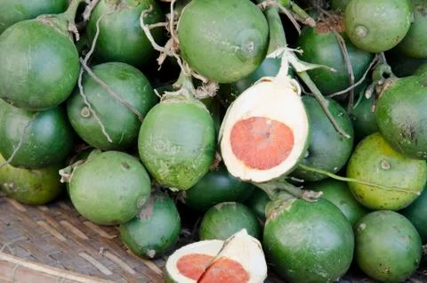 Raw betel nut Stock Photos