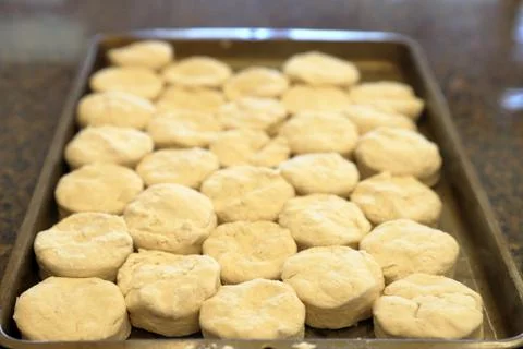 Raw biscuits on pan ready to be cooked Stock Photos