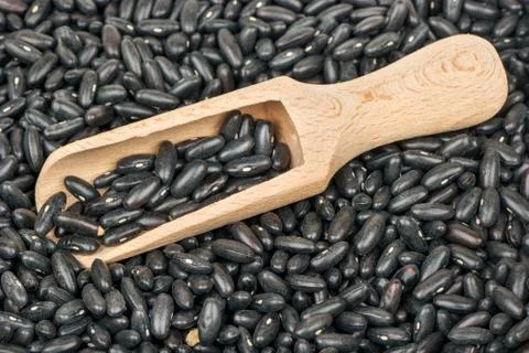 Raw black beans Stock Photos
