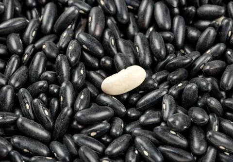 Raw black beans Stock Photos