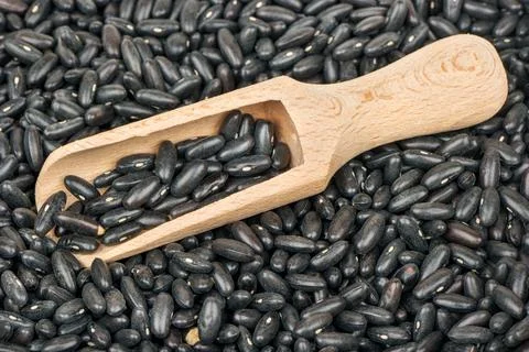 Raw black beans Stock Photos