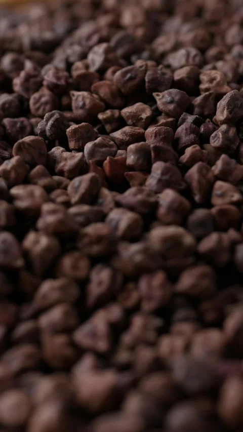 Raw Black Dark Brown Chickpeas on wooden table. Stock Footage 307948046