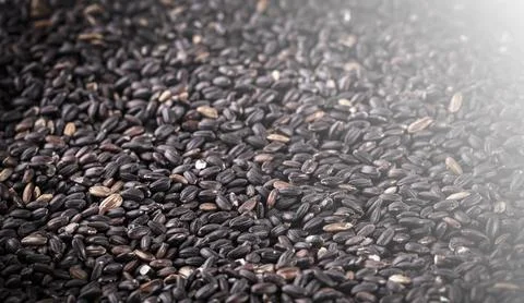 Raw black rice as background.. Selective focus Stock Photos
