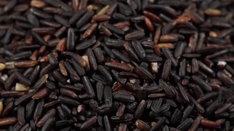 Raw Black Rice or Wild Rice Closeup background, Unpolished organic rice grain 스톡 동영상 288319858