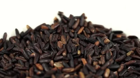 Raw Black Rice or Wild Rice Closeup background, Unpolished organic rice grain 스톡 동영상 288319859
