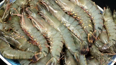 Raw Black Tiger Shrimp Rotating Close Up 스톡 동영상 336739559
