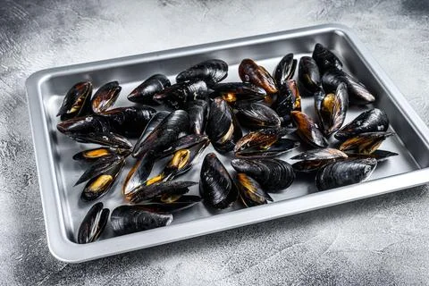 Raw blue mussels shells in kitchen steel tray. White background. Top view Stock Photos