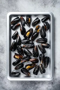 Raw blue mussels shells in kitchen steel tray. White background. Top view Stock Photos