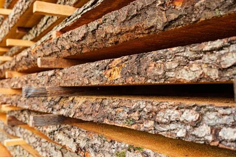 Raw board with bark close-up. Stack of cut wood in a sawmill. Wooden background 库存照片