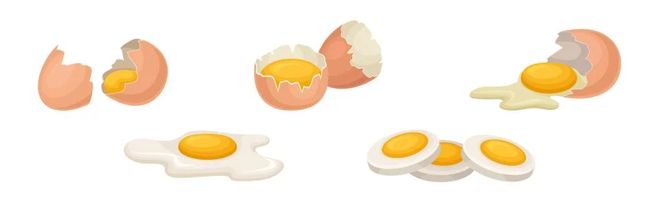Raw, Boiled and Scrambled Egg with Yolk and Shell Vector Set Stock Illustration
