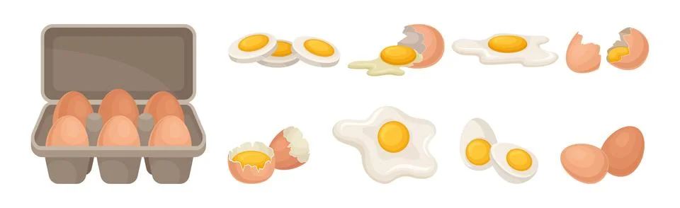 Raw, Boiled and Scrambled Egg with Yolk and Shell Vector Set Stock Illustration