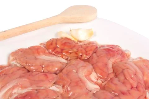 Raw brain 스톡 사진