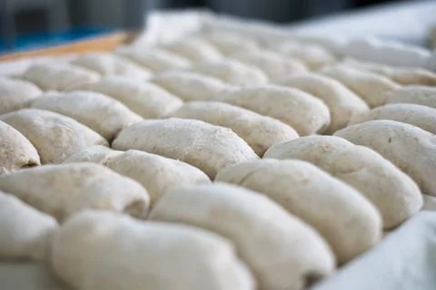 Raw Bread Dough at Local Bakery Stock-Fotos