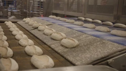 Raw bread dough pieces moving on conveyor belt in industrial bakery, automated Stock Footage 333274257