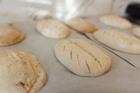 Raw bread loaves on baking trays with parchment, artisan bakery preparation 스톡 사진