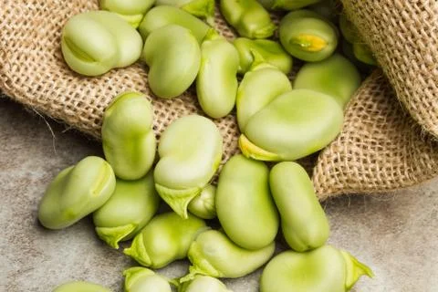 Raw broad beans in a burlap sack Stock Photos