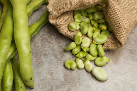 Raw broad beans in a burlap sack Stock Photos