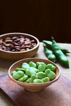 Raw Broad Beans Stock Photos