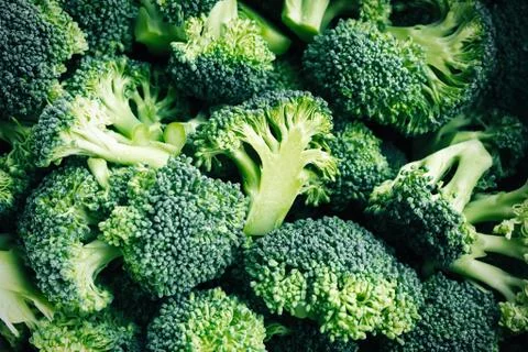 Raw broccoli florets Stock Photos