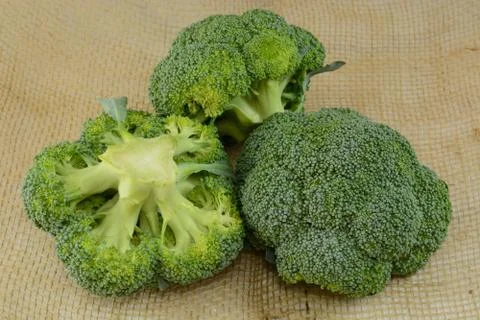 Raw Broccoli Heads Stock Photos