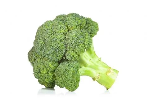 Raw Broccoli isolated on white background. Stock Photos