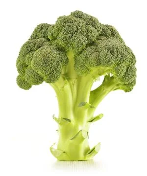Raw broccoli isolated on white Stock Photos