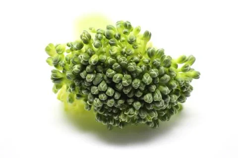 Raw Broccoli stalks. Stock Photos