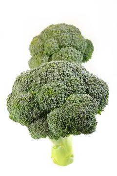 Raw broccoli vegetable on white background Stock Photos