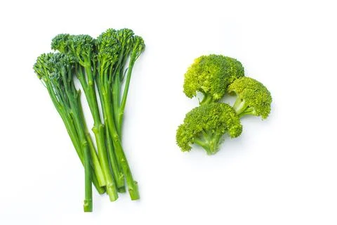 Raw broccolini at the row on white background Stock Photos