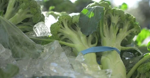 Raw Brocolli Cold Stock Footage 75382813