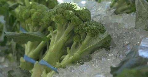 Raw Brocolli On Ice steaming Stock Footage 75345511