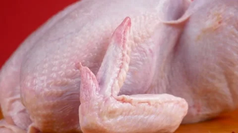 Raw broiler chicken meat is rotated. Fresh diet poultry meat on a bright orange Stock-Footage 150623935