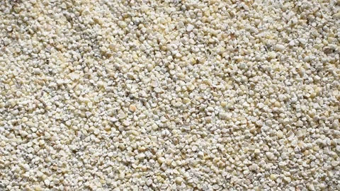 Raw broken Barley Stock Footage 152168473