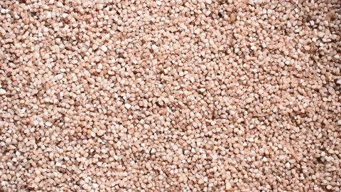 Raw broken Matta red parboiled rice Stock Footage 152522879