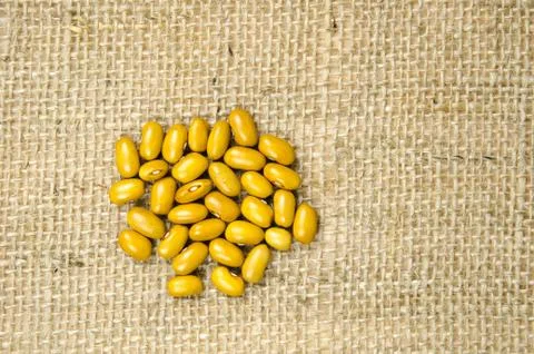Raw brown beans Stock Photos